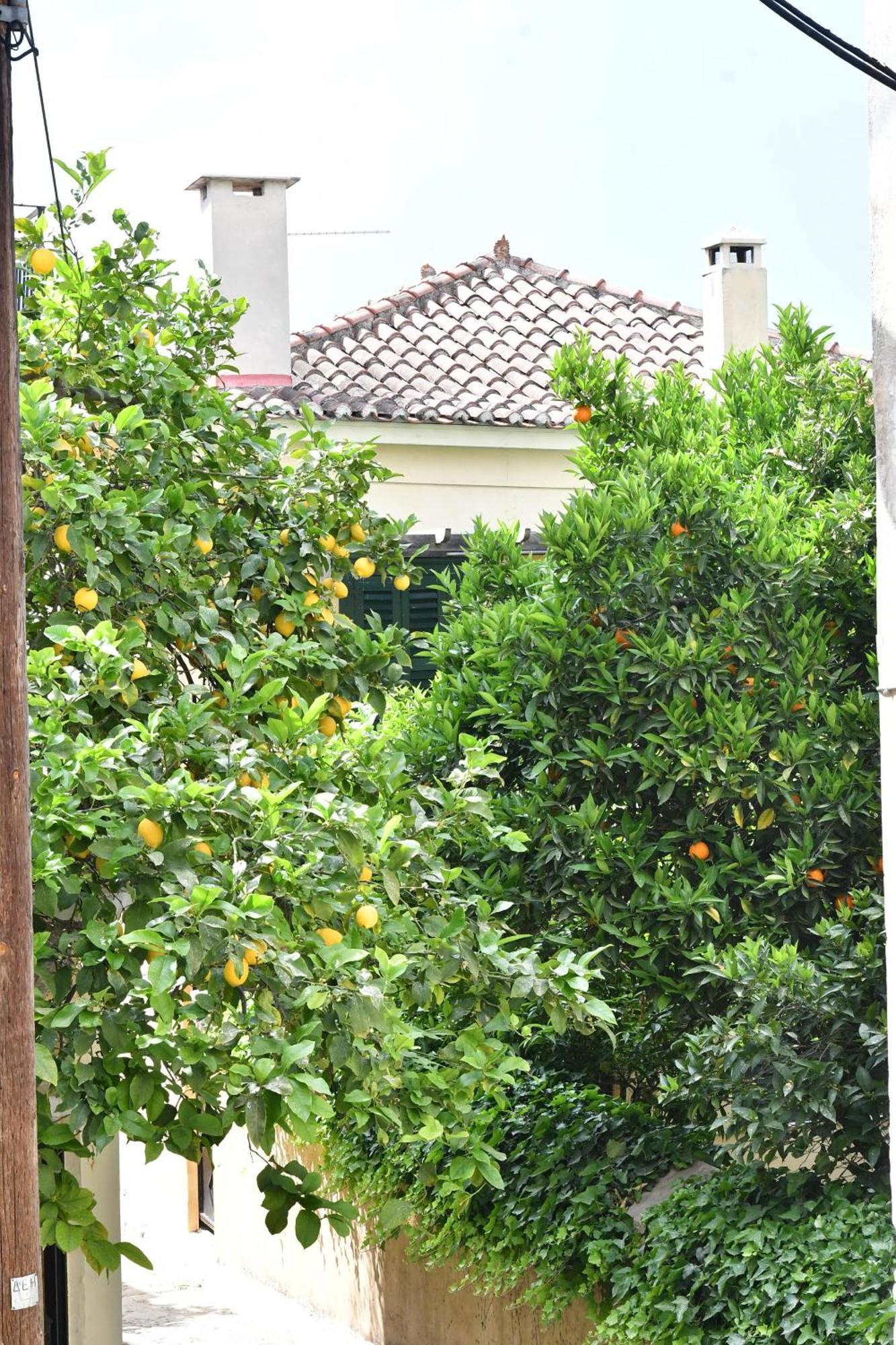 Brancaleone Appartement Nauplion Buitenkant foto
